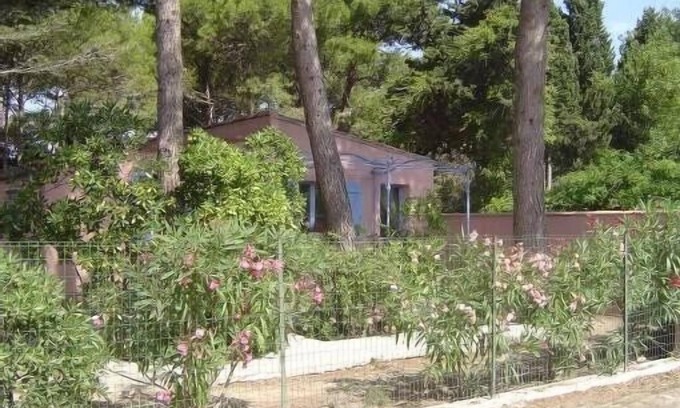 La Franqui House | PROMO! The franqui cottage under the pines in charming village