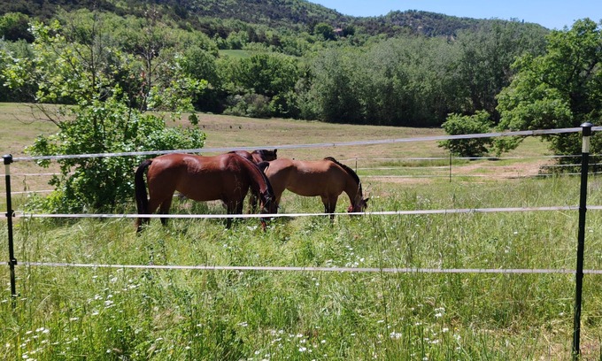 Viens House | Property near the colorado provençal with view surrounded by 8 ha not overlooked