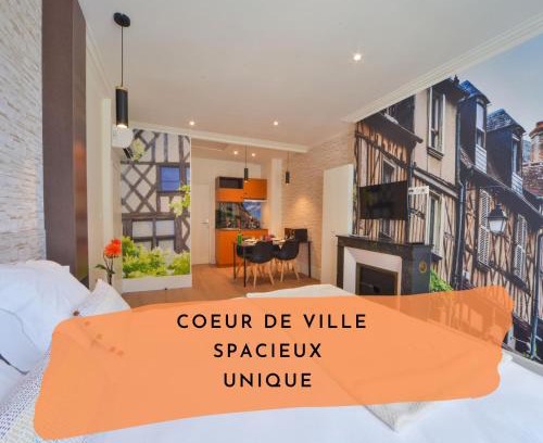 Bourges Apartment | Puits de Jouvence, au coeur des commerces