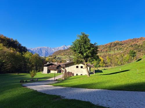 Prestine House | Quader nidi nel verde