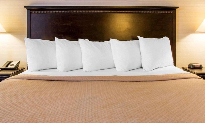 Battle Creek Hotel | Quality Inn & Suites Next to the Casino