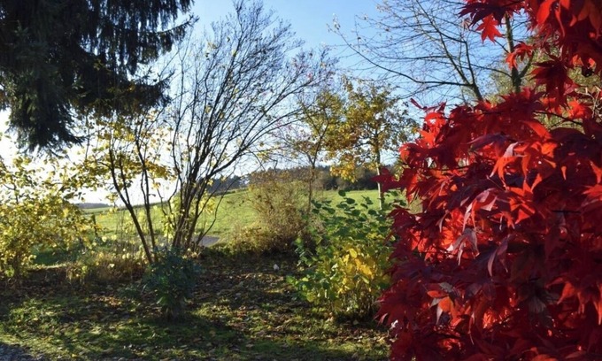 Rederscheid Apartment | Quiet & cosy Apartment - country side in Niedersteinebach