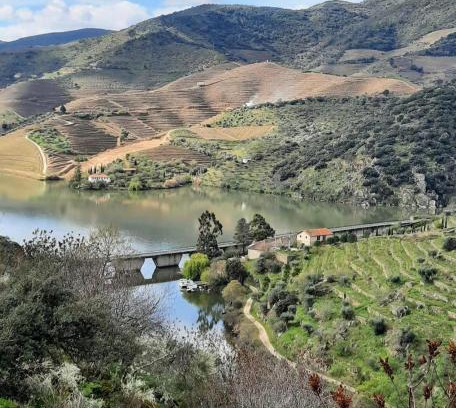Sao Joao da Pesqueira House | Quinta da Ferradosa Wines