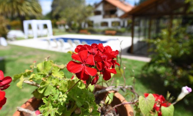 Tababela Hotel | Quinta La Constanza