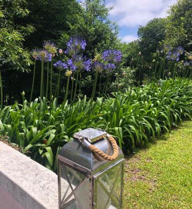 Camacha Villa | Quintinha de Palmyra