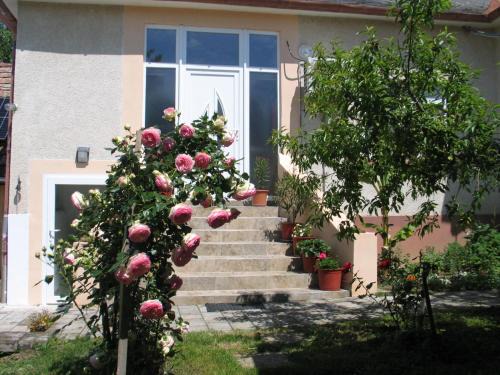 Kerecseny House | Réti Tanya Vendégház