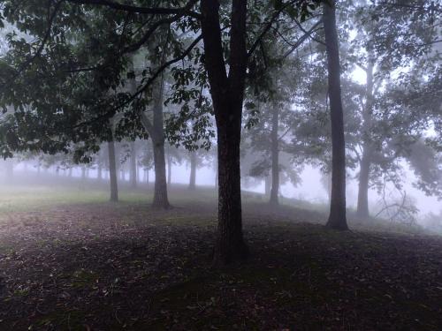 uMshwathi Ski Chalet | Rainbow's End