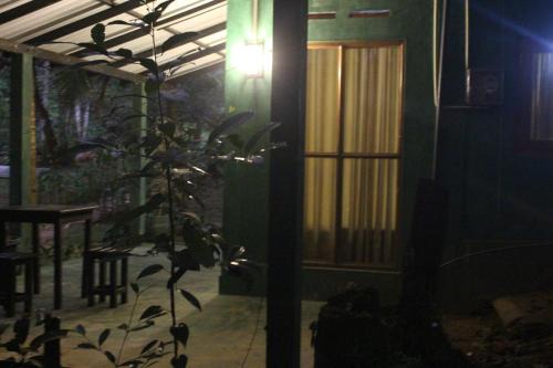 Nelluwa House | rainforest river song