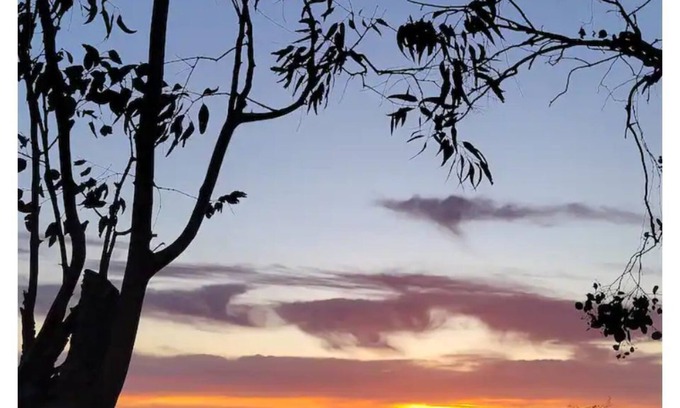 Stevinson House | Ranchette El Eucalipto welcomes you to relax