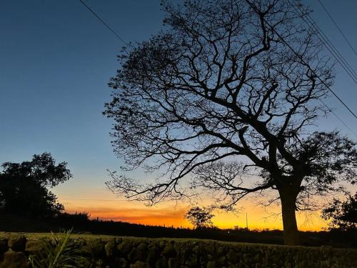 Pacuare Reserve Hotel | Rancho Los Gavilanes