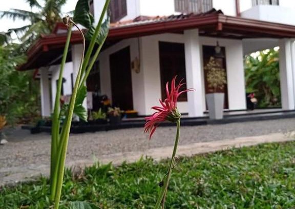 Hikkaduwa Villa | Ransavi villa