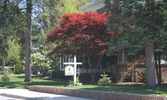 Red Lion Bed & Breakfast | Red Lion Bed & Breakfast