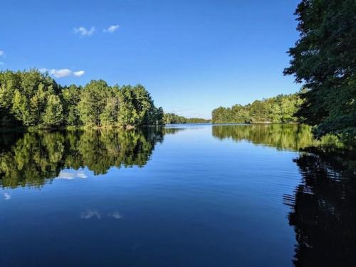Phillips House | Red Tree Resort LLC
