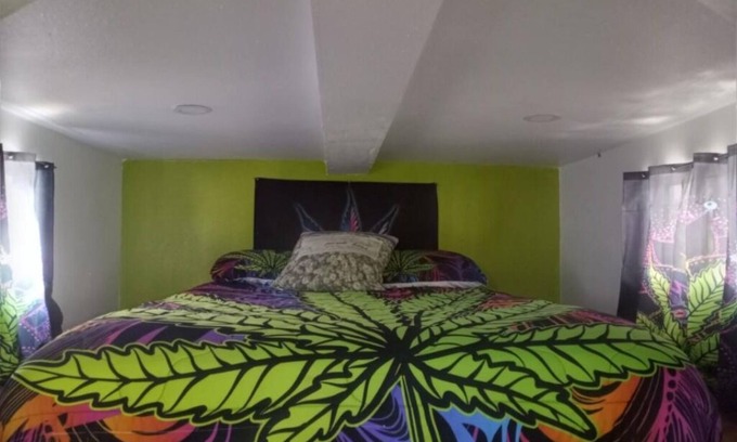 Julian House | Reefer Madness House *420, Glow in the Dark, Fun!