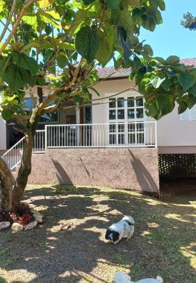 Bela Vista House | Refúgio dos pássaros