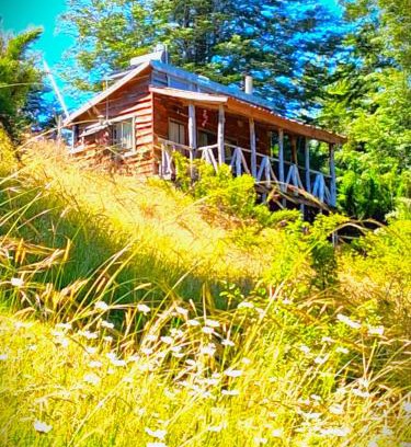 Curacautin Ski Chalet | Refugio de Montaña Kultrun Mawida, Cabaña Mirador WIFI