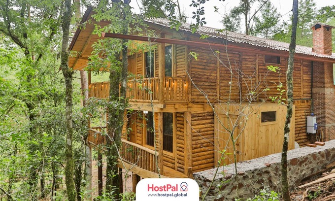 Acaxochitlan Apartment | Refugio encantado | Tirolesa & Bicicletas | Bosque