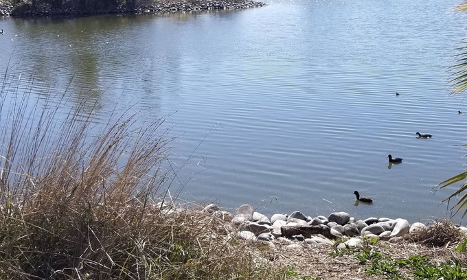 Regency Park House | Relax. Enjoy. Create memories.