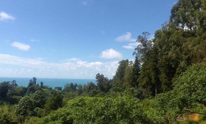 Tsikhisdziri House | Relax in Tsikhisdziri