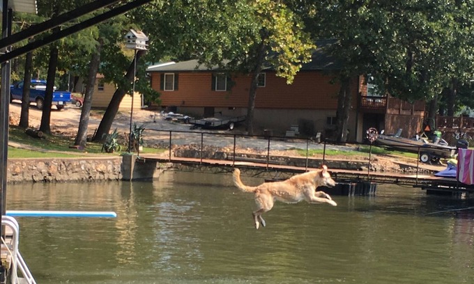 Climax Springs House | Relaxing pet friendly lake front home with large swim dock with 24' boat slip