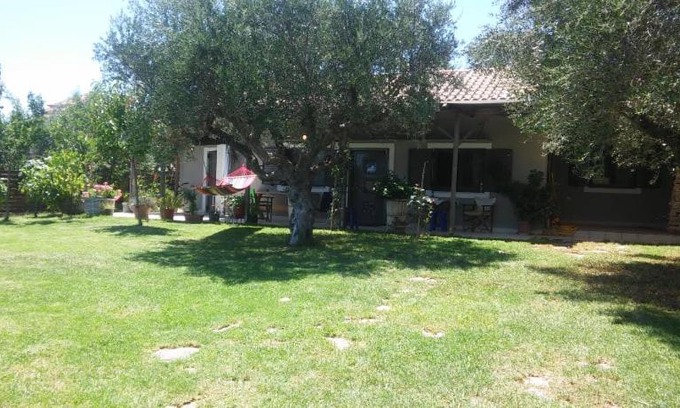 Messini House | Relaxing Vila at Avramio village