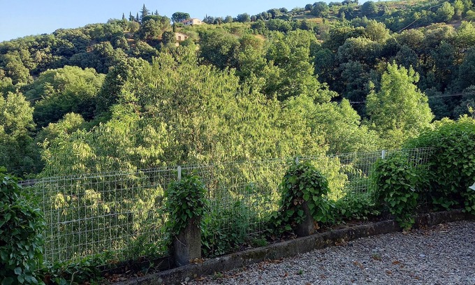 Reynes Apartment | Rental apartment near CERET