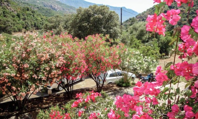 Serriera Apartment | Residence Cabanaccia Studio 38m² by Interhome