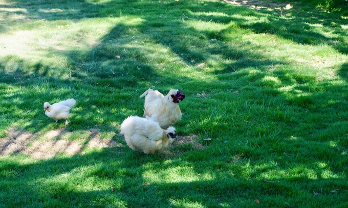 Ilheus-Itacare House | Residence "To the beach" on the seafront