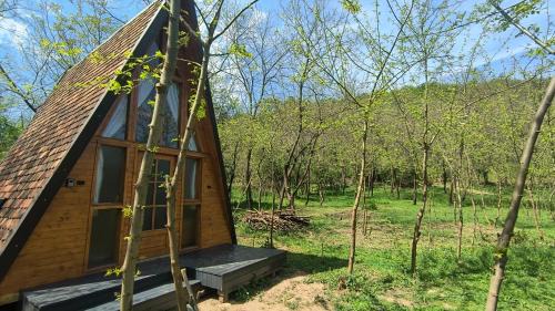 Buchin Resort | Retreat în padure