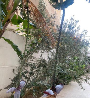 El Aouina House | Rez de chaussée à l'Aouina