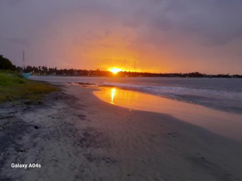 Pottuvil Division 2 Bed & Breakfast | Rice Fields