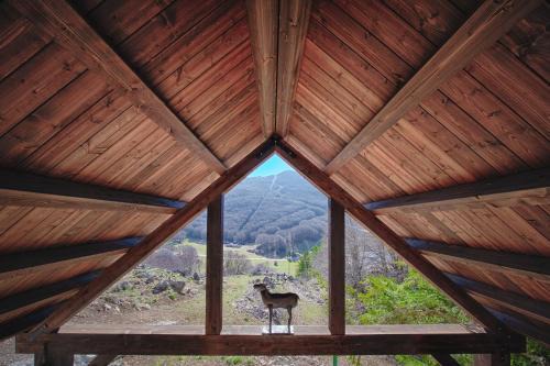 Piano Battaglia Apartment | Rifugio del volpacchiotto - Piano Battaglia