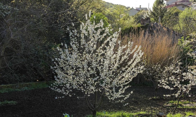 San Giovanni-Chiadino-Rozzol Bed & Breakfast | Rio Farneto B&B