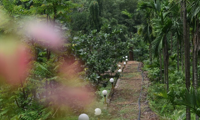 Ladghar Resort | Riverstone Nature Resort