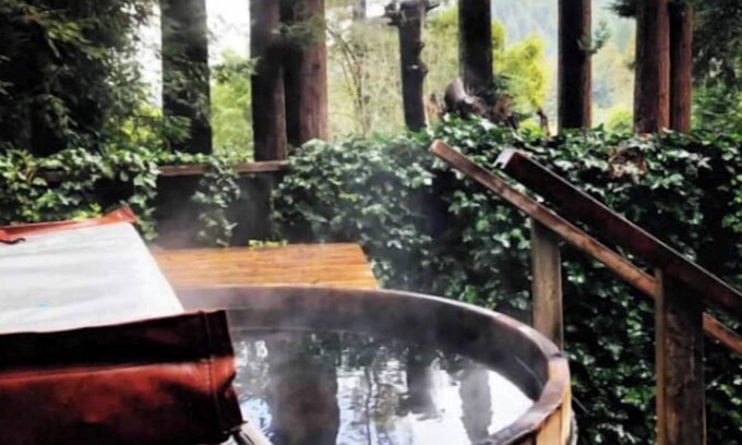 Monte Rio Cabin | Riverview Treehouse with Hot Tubnn