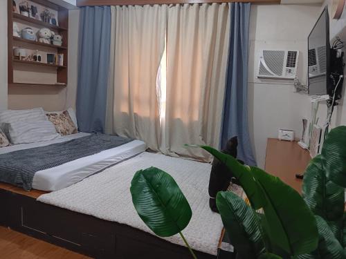Cagayan de Oro Apartment | roberts loft 8kt1 mesaverte near SM and Ayala