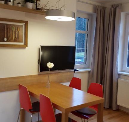 Rokytnice nad Jizerou Apartment | Rokytka apartmán 217
