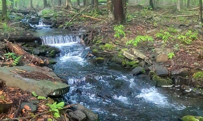 Pocono Lake House | Romantic Pocono house - stream, lake, beach, pool, firepit