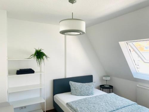 Nauwieser Viertel House | ROOFTOP RESlDENCE