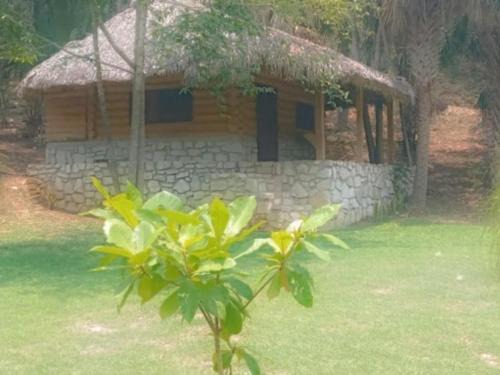 Damian Carmona House | Room in Cabin - Cabins Sierraverde Huasteca Potosina sierra cabin