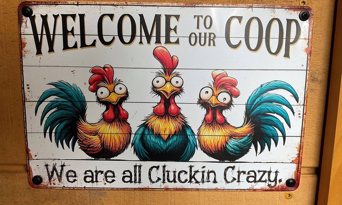 Roscoe Cabin | Roscoe Coop Clucking Crazy Hut
