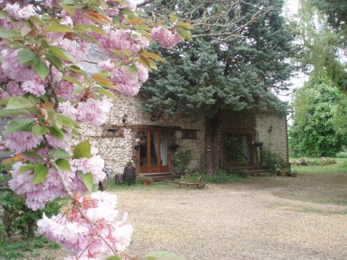 Noyant-Villages House | Rose