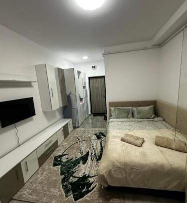 Onesti Apartment | Rosu Residence 2