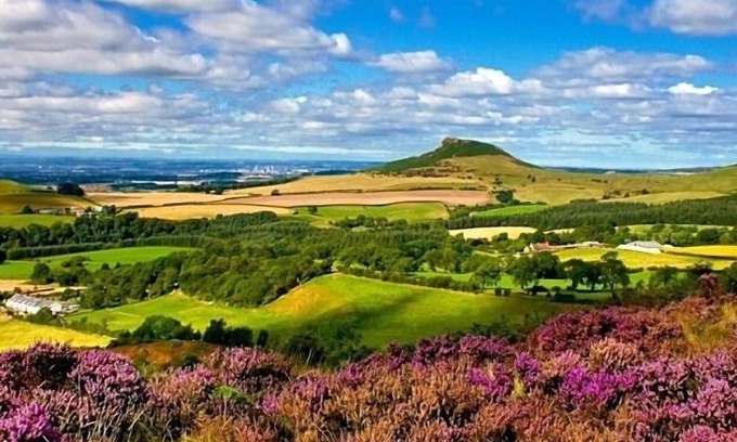 Great Ayton Bed & Breakfast | Royal Oak Hotel