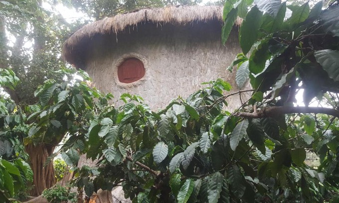 Kaimane Apartment | Rustic Charm Wayanad - The Roots (Treetop Suite)