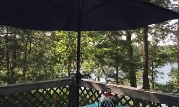 Frontenac Cottage | Rustic Cottage in the Frontenacs