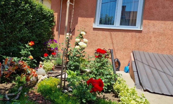 Vranje Apartment | Rustic House