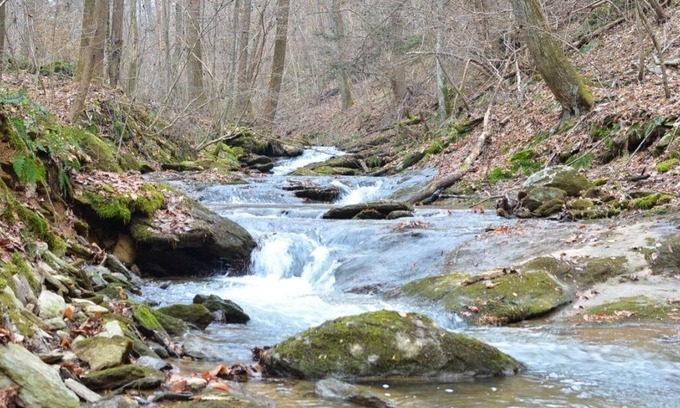 Airville RV Rental | Rustic lodge on 128 acres of natural park and conservation area