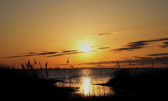 Port Franks Cottage | Rustic Private Cottage w/Lake View