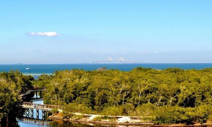 Bayshore Gardens RV Rental | Rv, camper, site in Bradenton